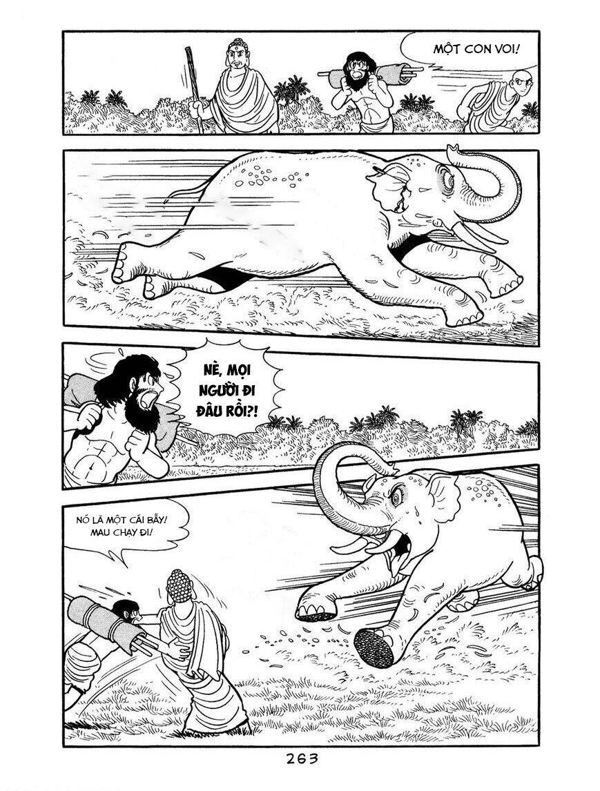 Buddha - Truyền Thuyết Đức Phật Chapter 67 - 21