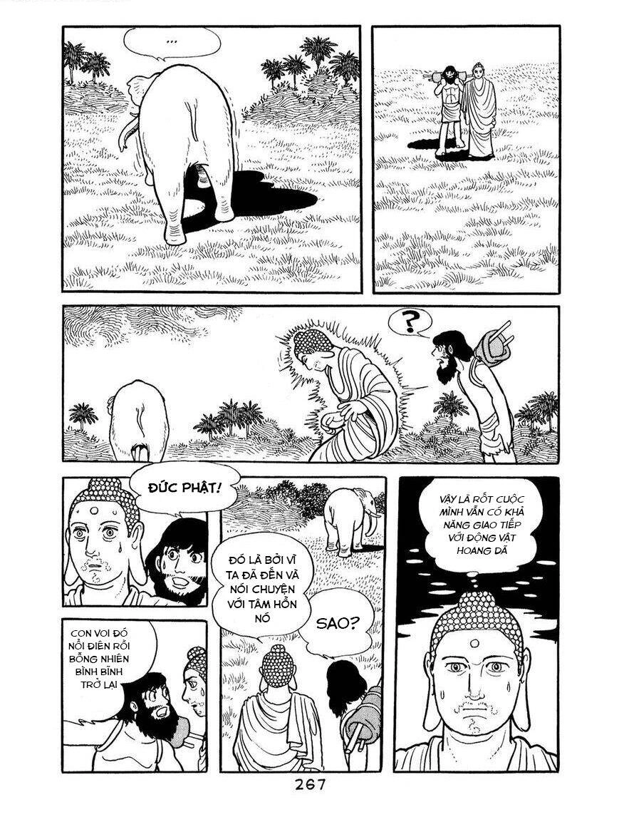 Buddha - Truyền Thuyết Đức Phật Chapter 67 - 25