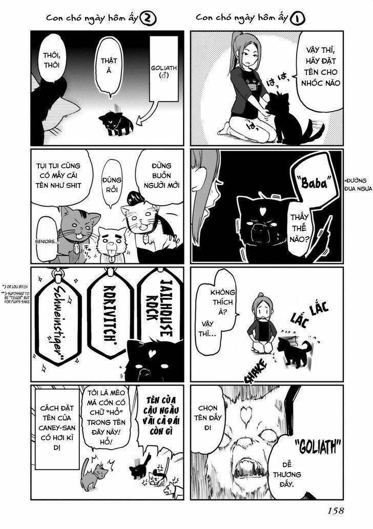 Vũ Điệu Của Thiên Thần Ngốc Nghếch Và Ác Quỷ Chapter 8 - 39