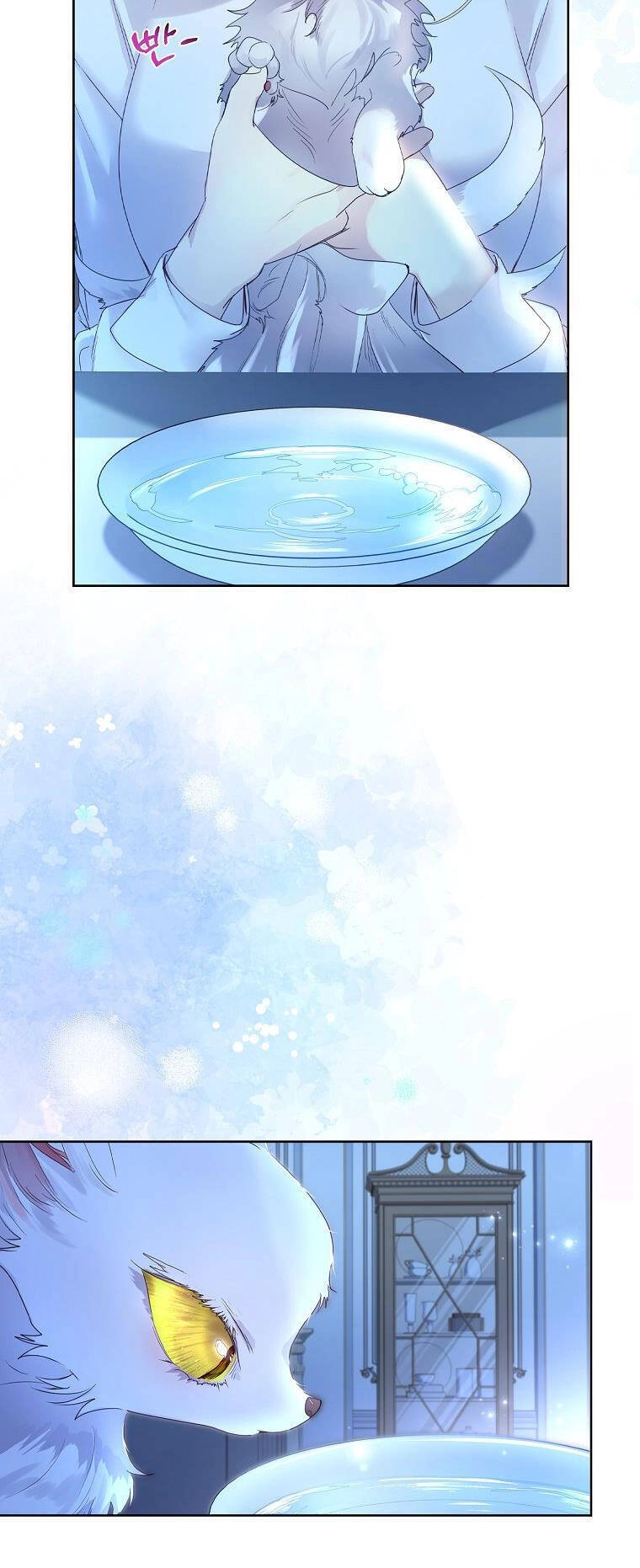 Tôi Đã Nuôi Hồ Ly Sai Cách Rồi Chapter 5.2 - 14