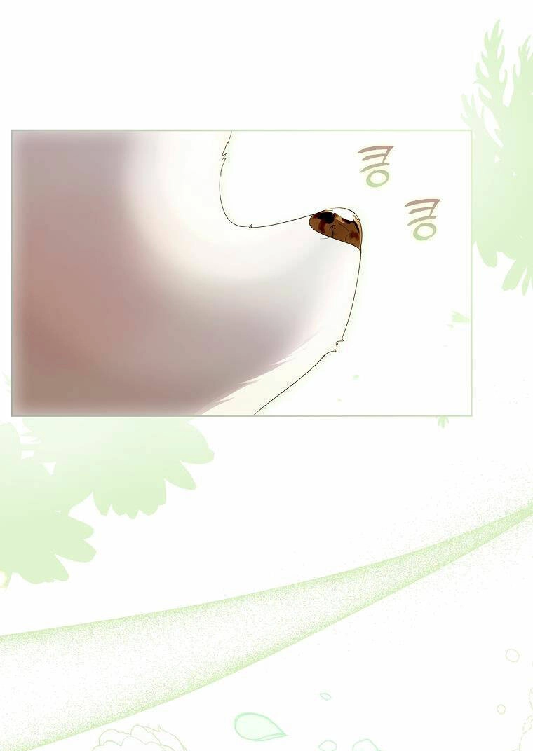 Tôi Đã Nuôi Hồ Ly Sai Cách Rồi Chapter 6.2 - 21