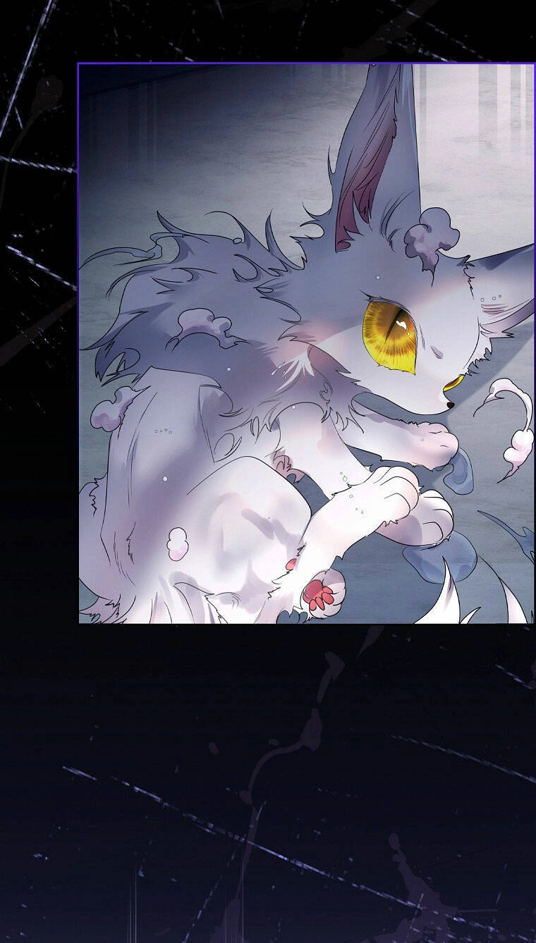 Tôi Đã Nuôi Hồ Ly Sai Cách Rồi Chapter 9.1 - 14