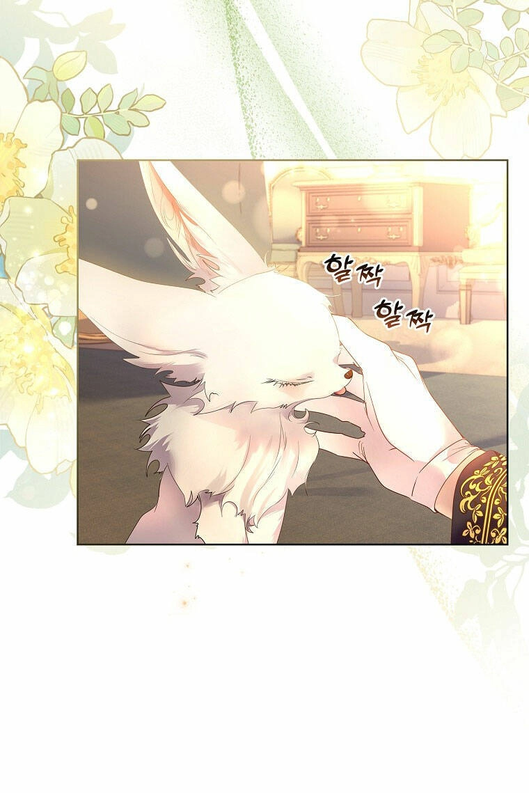 Tôi Đã Nuôi Hồ Ly Sai Cách Rồi Chapter 10.1 - 23