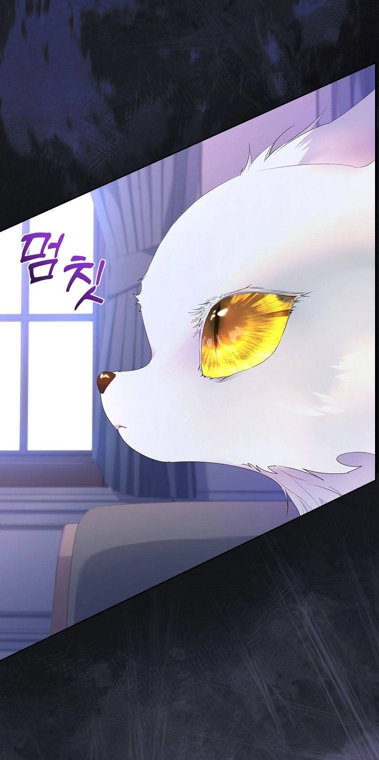 Tôi Đã Nuôi Hồ Ly Sai Cách Rồi Chapter 11.1 - 2