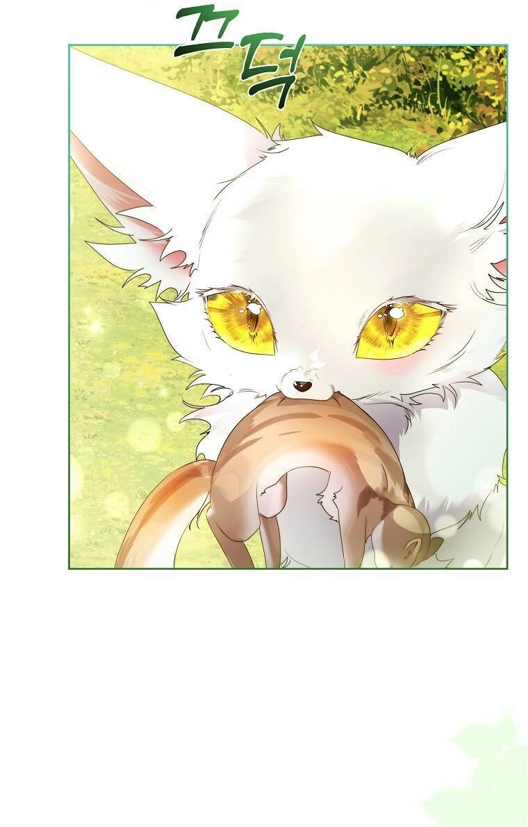 Tôi Đã Nuôi Hồ Ly Sai Cách Rồi Chapter 12.2 - 20