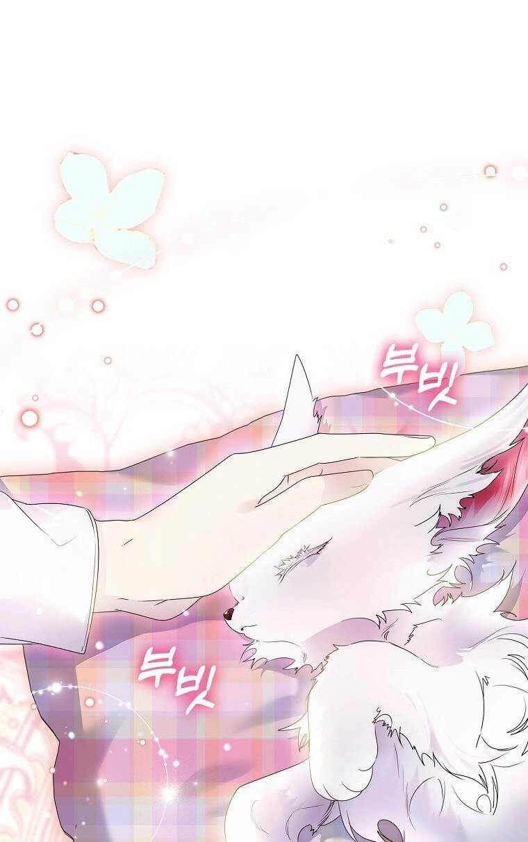 Tôi Đã Nuôi Hồ Ly Sai Cách Rồi Chapter 14.1 - 17