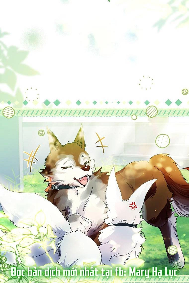 Tôi Đã Nuôi Hồ Ly Sai Cách Rồi Chapter 21.1 - 12