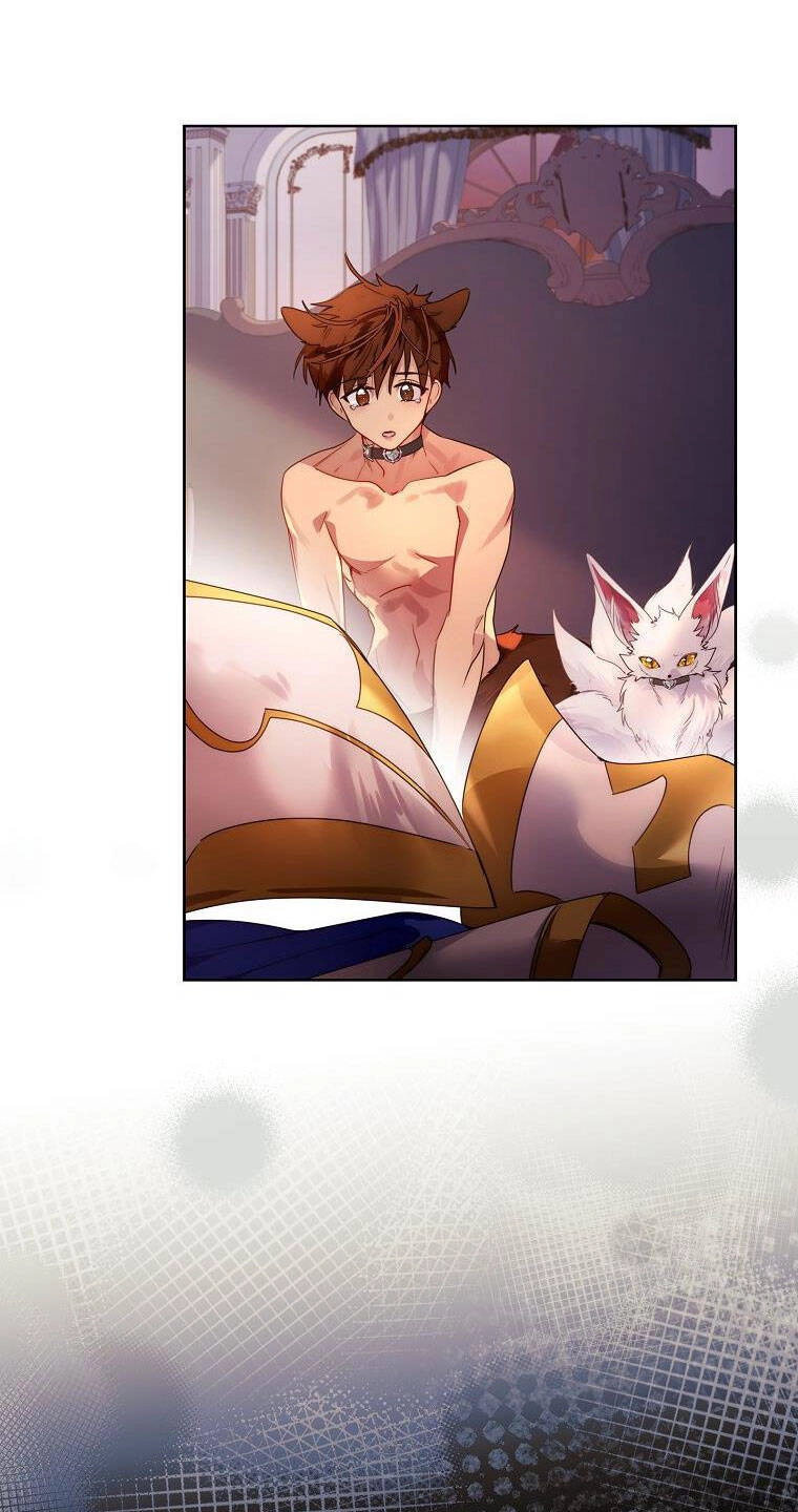 Tôi Đã Nuôi Hồ Ly Sai Cách Rồi Chapter 23.1 - 17