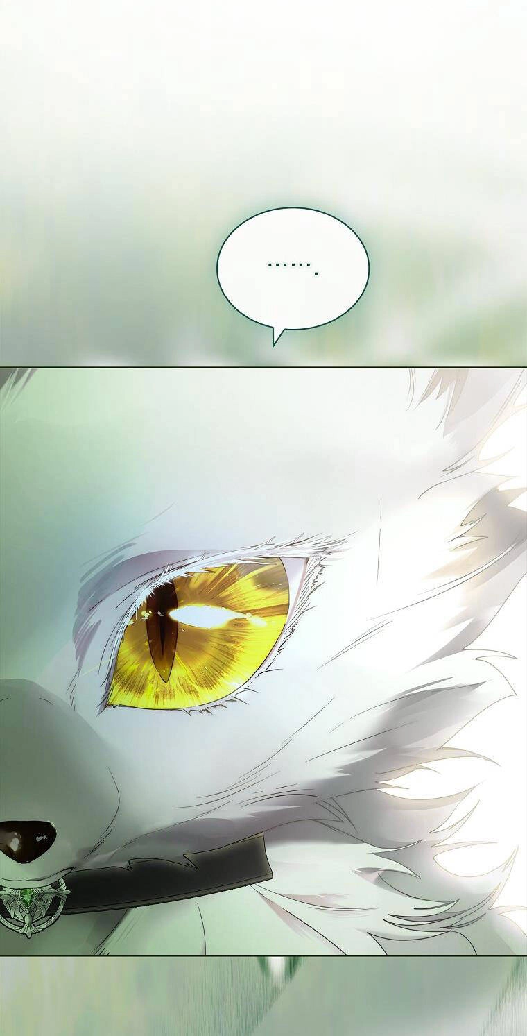 Tôi Đã Nuôi Hồ Ly Sai Cách Rồi Chapter 23.2 - 34