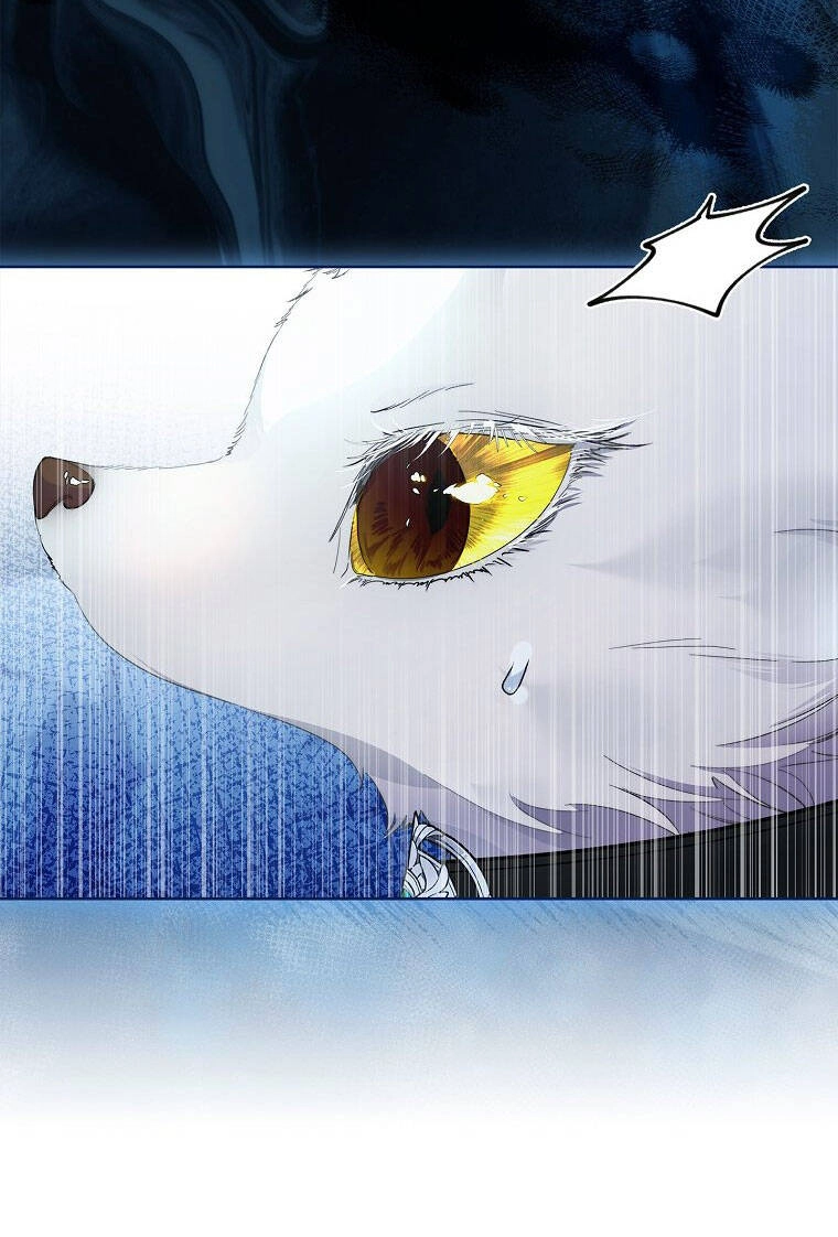 Tôi Đã Nuôi Hồ Ly Sai Cách Rồi Chapter 33 - 53