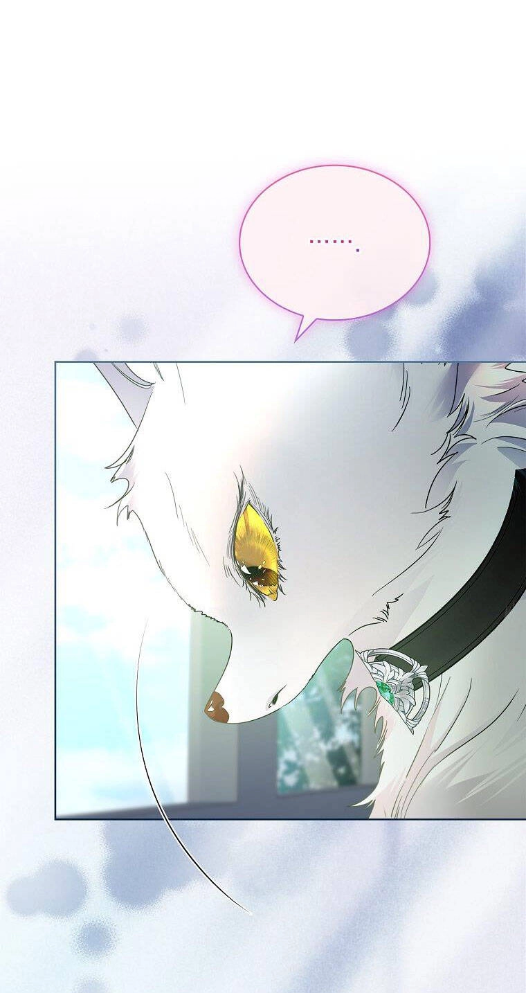 Tôi Đã Nuôi Hồ Ly Sai Cách Rồi Chapter 36 - 6