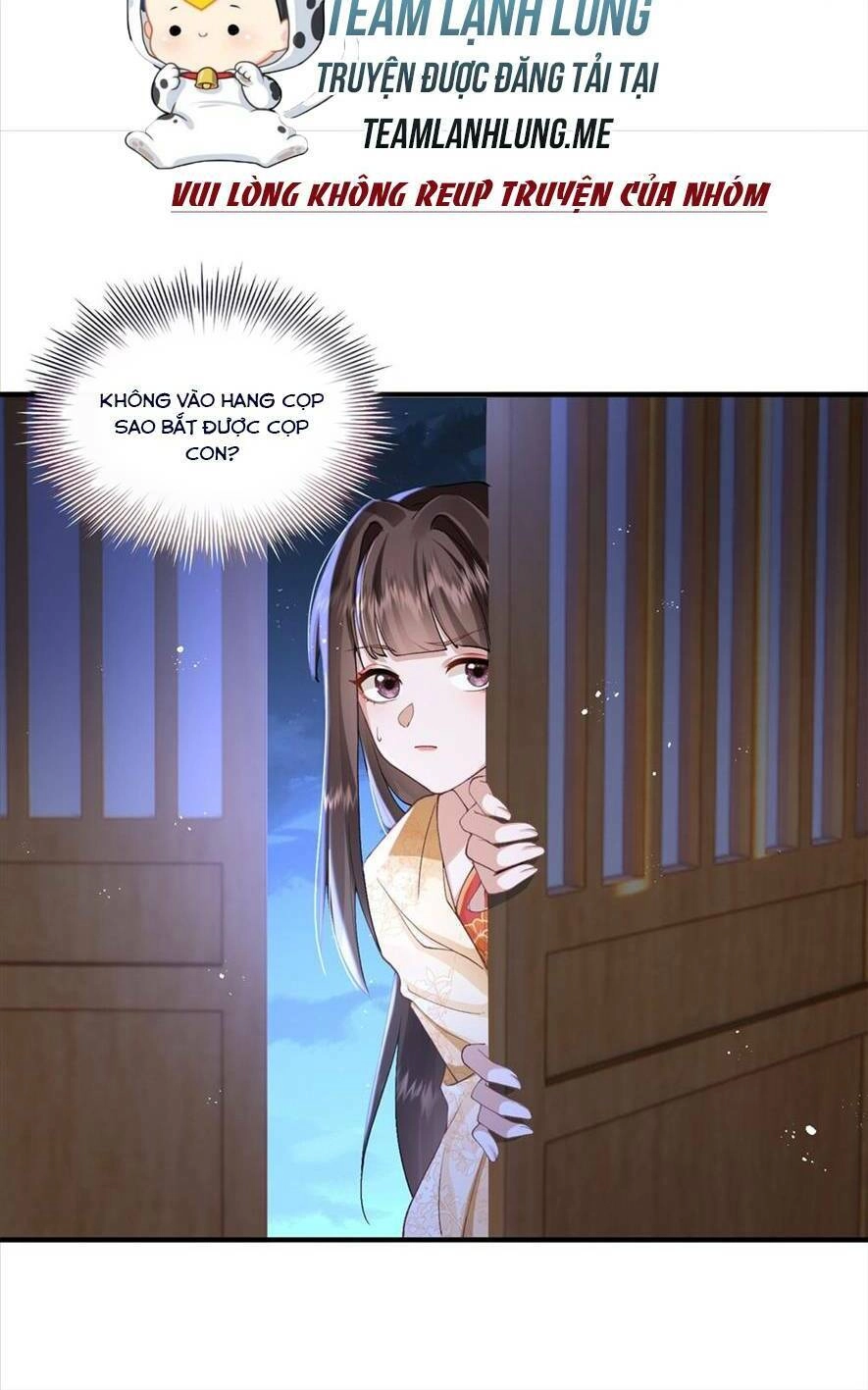 Phượng Hoàng Quy Hồi Chapter 5 - 11