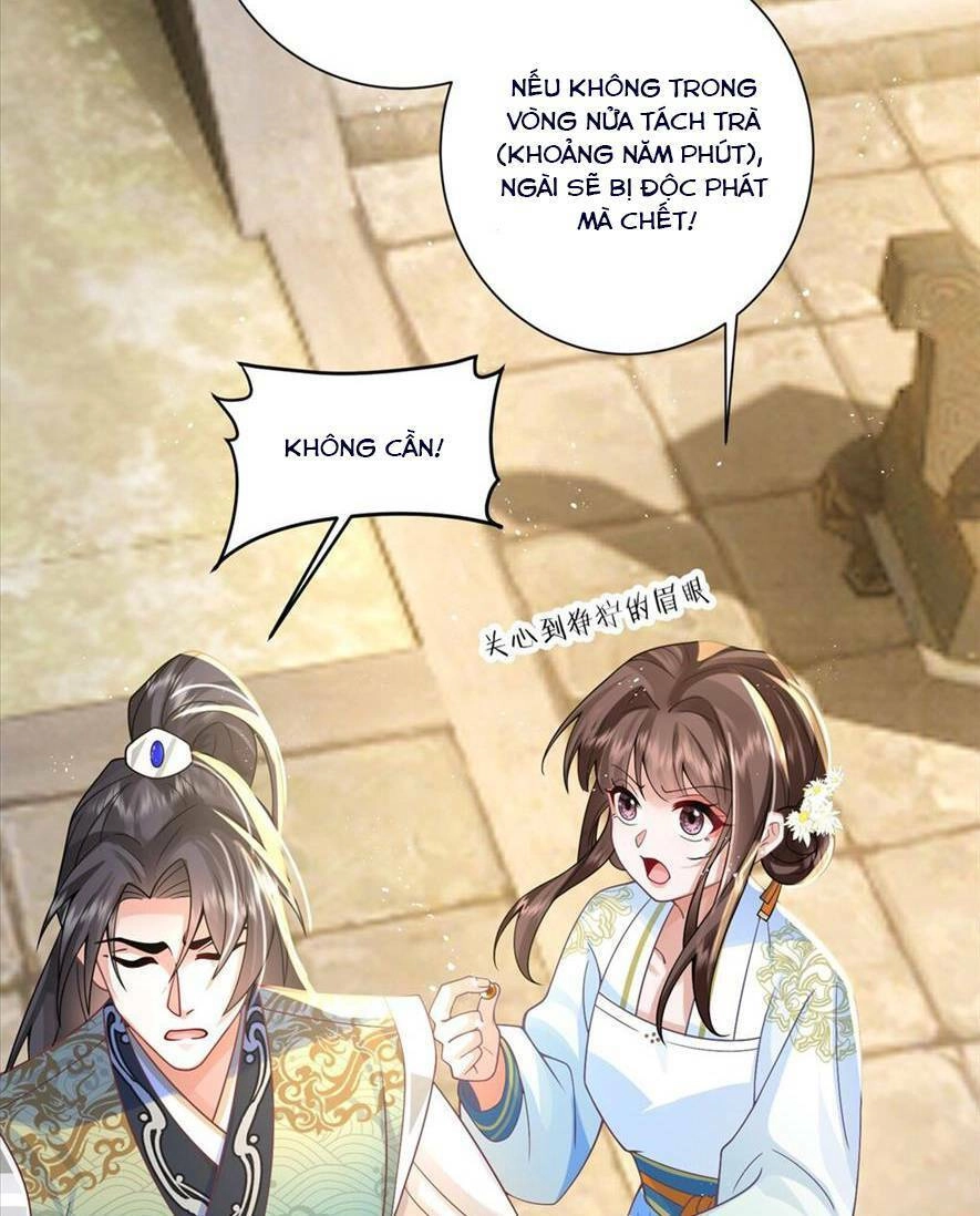 Phượng Hoàng Quy Hồi Chapter 7 - 17