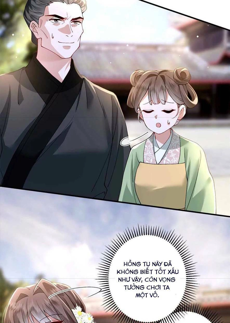 Phượng Hoàng Quy Hồi Chapter 8 - 16