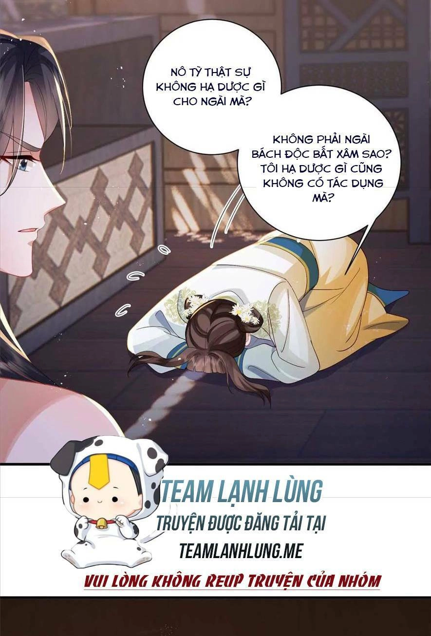 Phượng Hoàng Quy Hồi Chapter 10 - 5