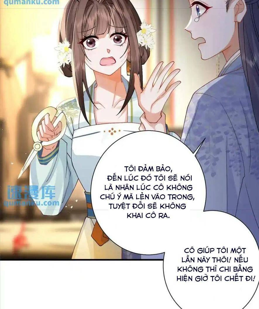 Phượng Hoàng Quy Hồi Chapter 12 - 11
