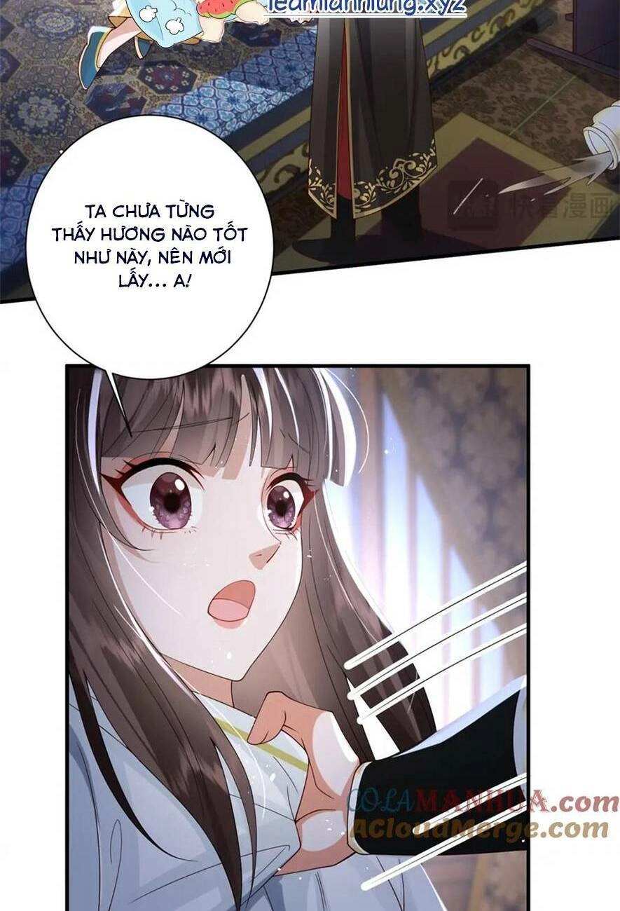 Phượng Hoàng Quy Hồi Chapter 14 - 17