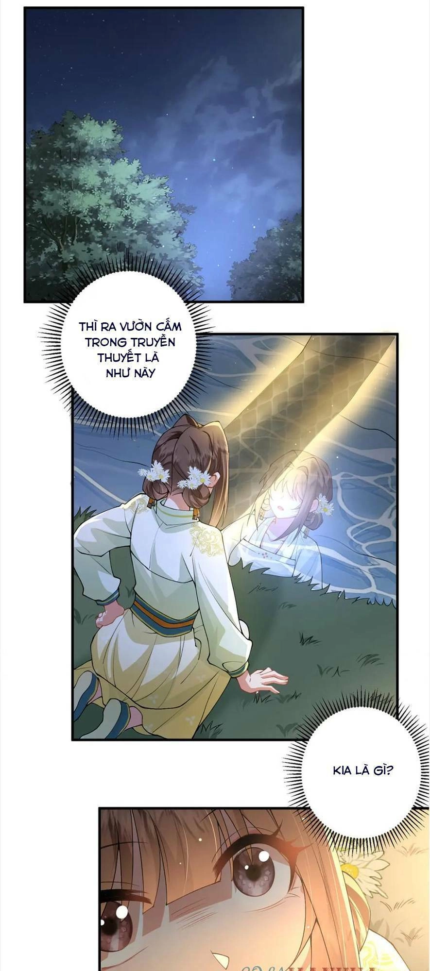 Phượng Hoàng Quy Hồi Chapter 17 - 26