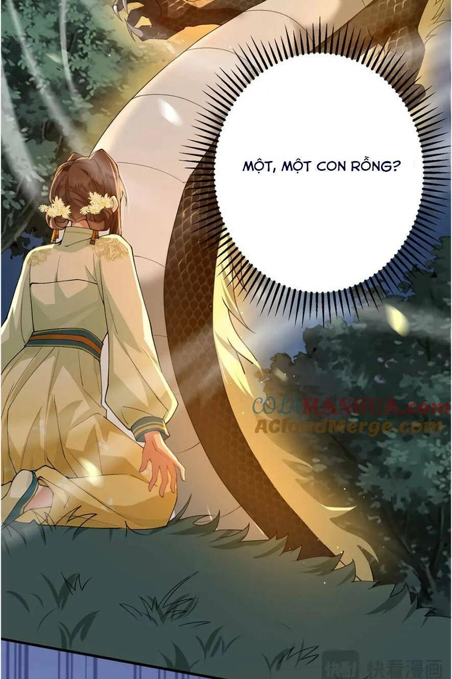 Phượng Hoàng Quy Hồi Chapter 17 - 28