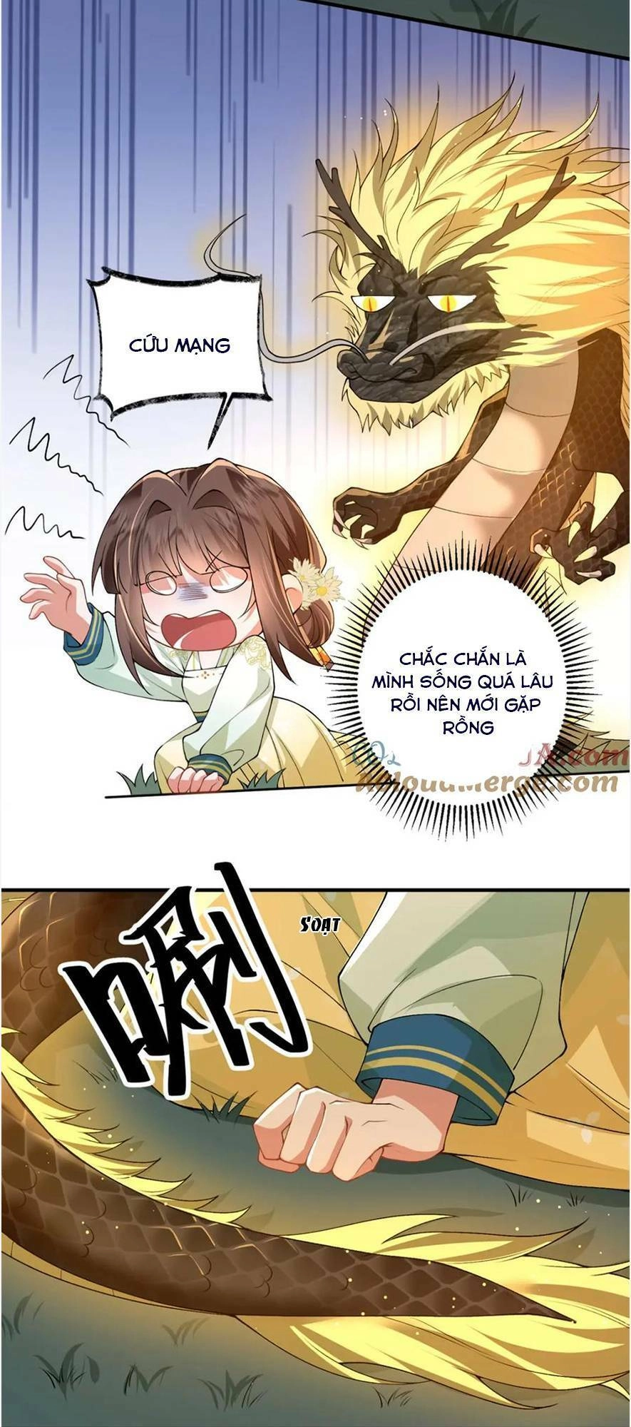 Phượng Hoàng Quy Hồi Chapter 17 - 29