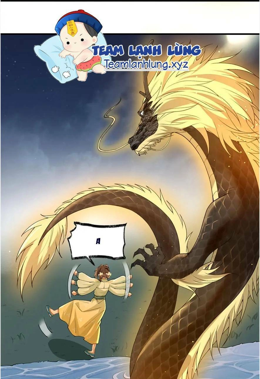 Phượng Hoàng Quy Hồi Chapter 17 - 30