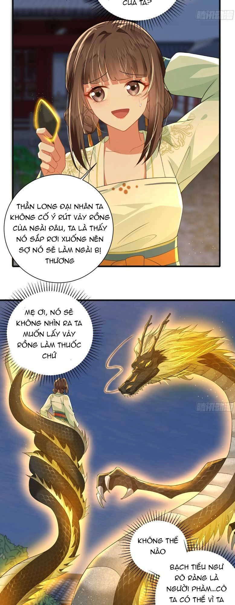 Phượng Hoàng Quy Hồi Chapter 18 - 13