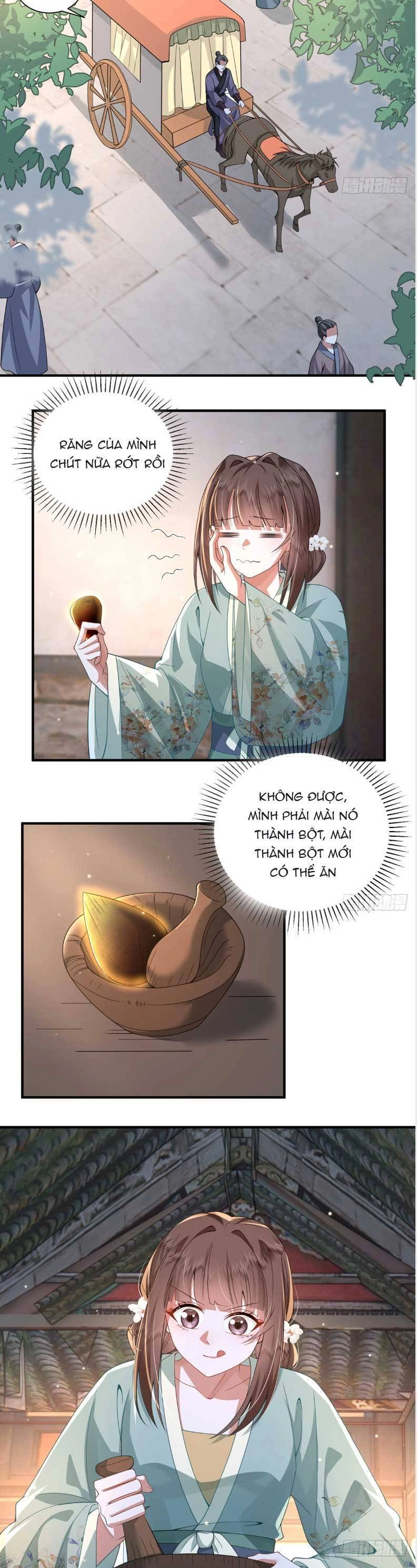 Phượng Hoàng Quy Hồi Chapter 20 - 14