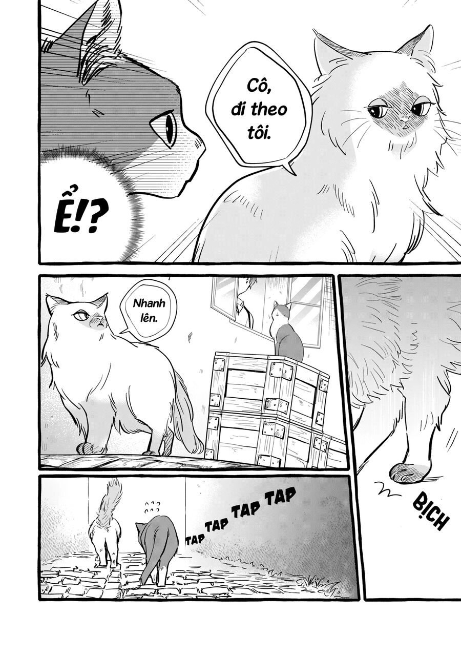 Cuộc Sống Khi Làm Hầu Gái Cho Pháp Sư Hướng Nội. Chapter 10 - 27