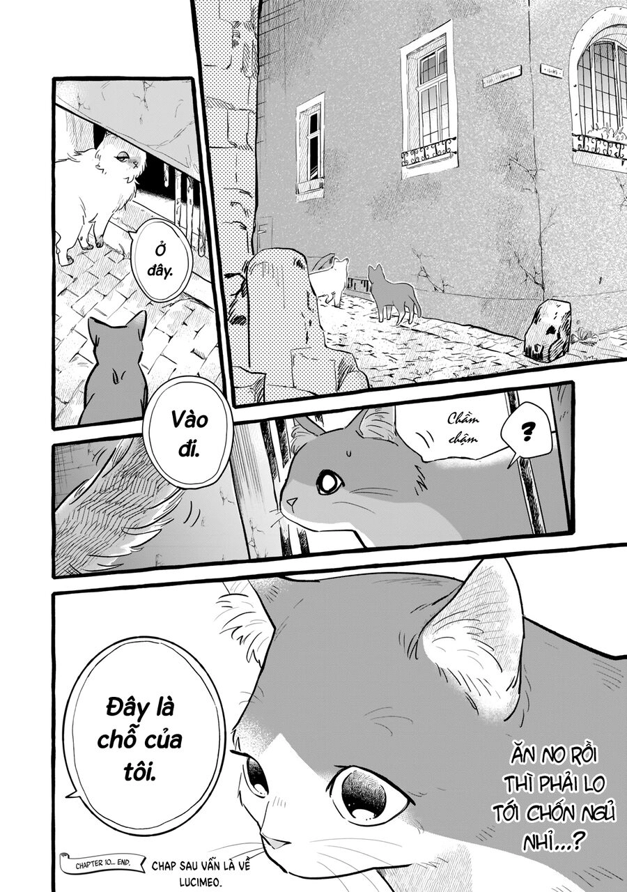 Cuộc Sống Khi Làm Hầu Gái Cho Pháp Sư Hướng Nội. Chapter 10 - 33