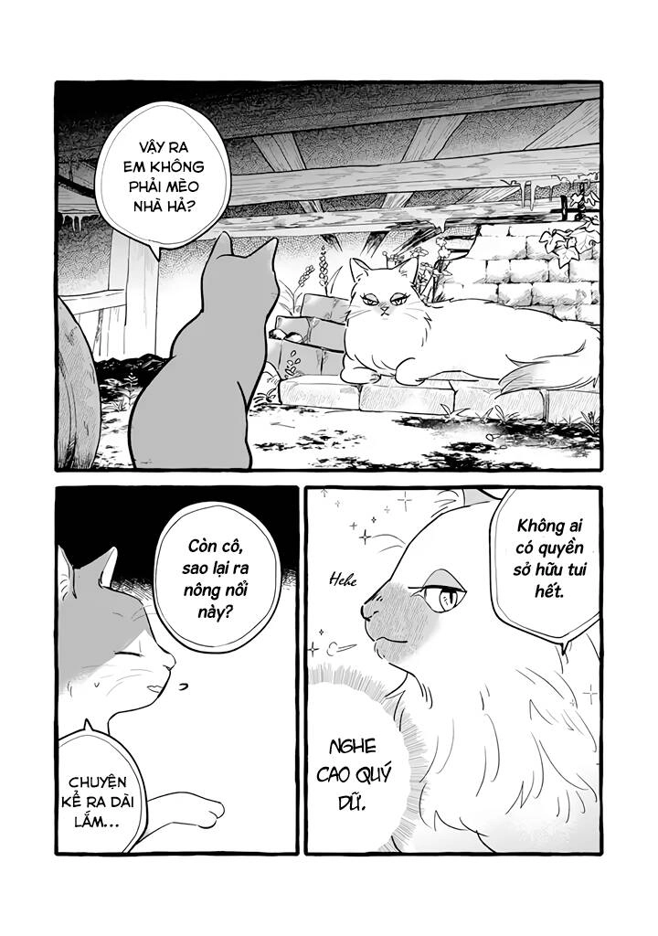 Cuộc Sống Khi Làm Hầu Gái Cho Pháp Sư Hướng Nội. Chapter 11 - 3