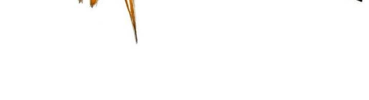 Huyết Cơ Và Kỵ Sĩ Chapter 315 - 68