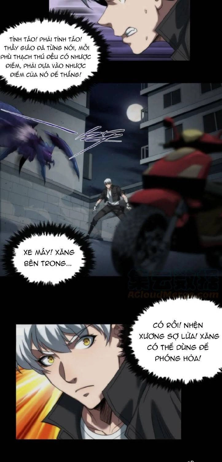 Phù Thạch Vương Giả Chapter 3 - 18