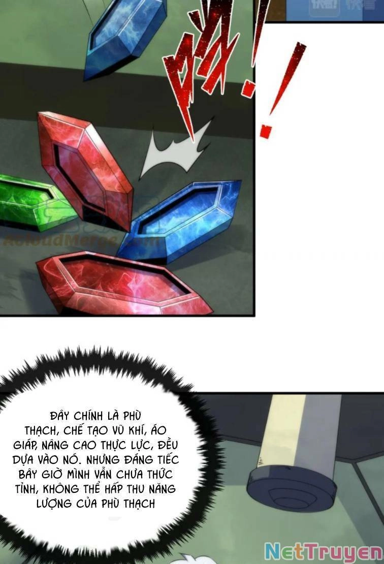 Phù Thạch Vương Giả Chapter 15 - 12