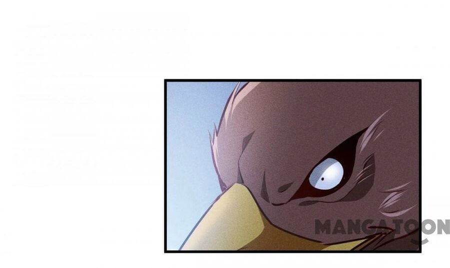 Bị Cắn Thành Vương Giả Chapter 52 - 3