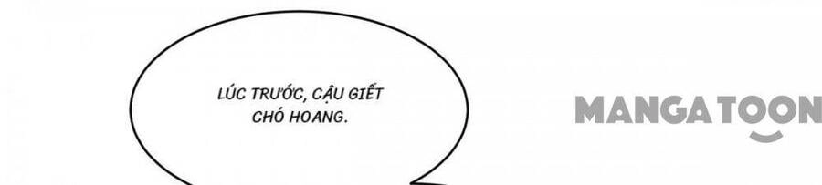 Bị Cắn Thành Vương Giả Chapter 82 - 28