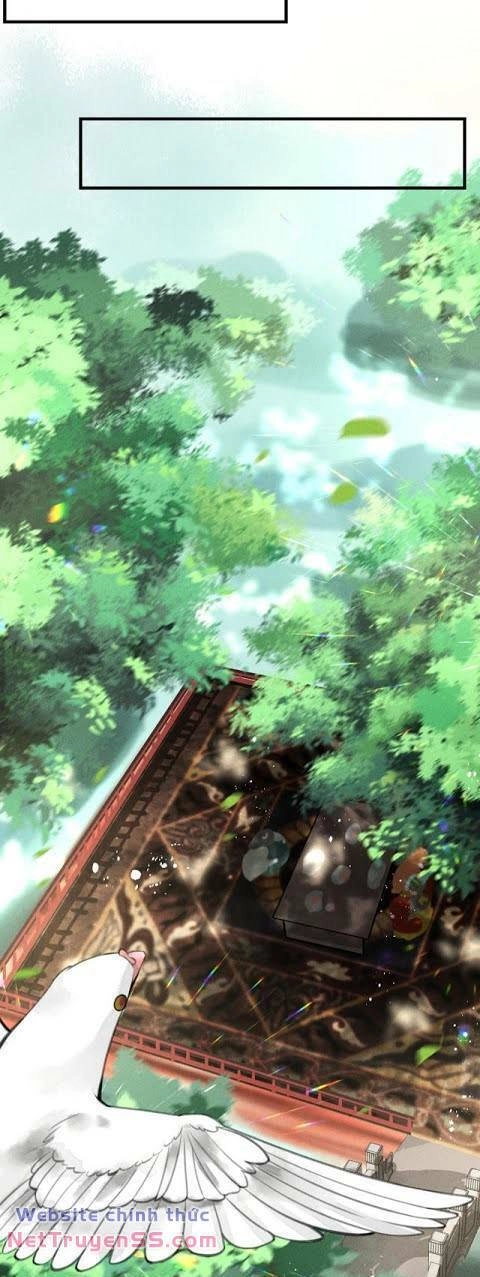 Phu Quân Ta Nuôi Từ Bé Muốn Thủ Tiêu Ta Chapter 20 - 13