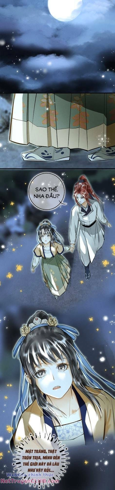 Phu Quân Ta Nuôi Từ Bé Muốn Thủ Tiêu Ta Chapter 32 - 16