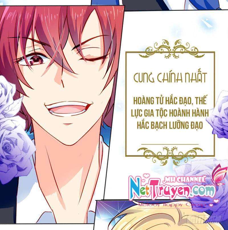 Vương Bài Giáo Thảo Mỹ Nam Đoàn Chapter 3 - 6