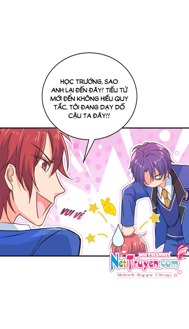 Vương Bài Giáo Thảo Mỹ Nam Đoàn Chapter 9 - 17