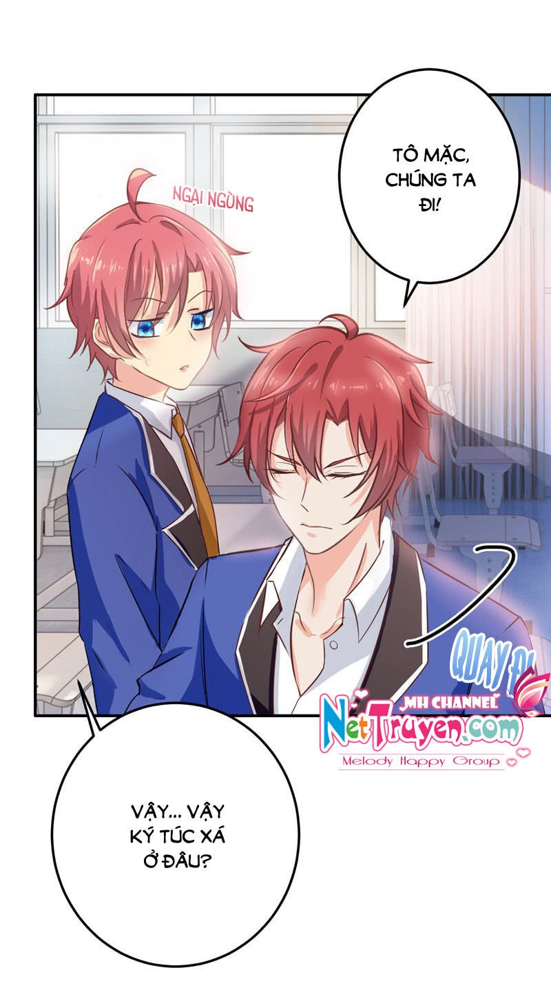 Vương Bài Giáo Thảo Mỹ Nam Đoàn Chapter 11 - 7