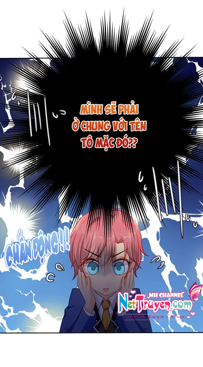 Vương Bài Giáo Thảo Mỹ Nam Đoàn Chapter 11 - 16