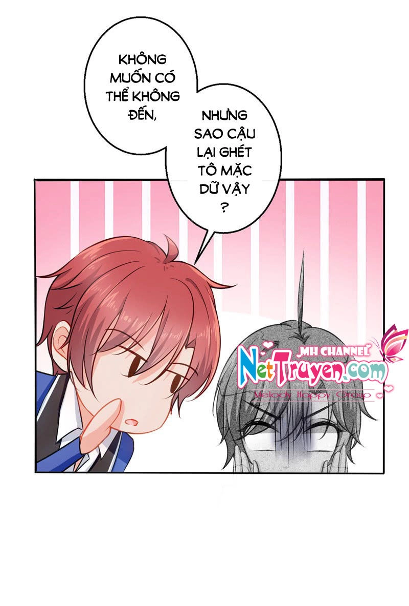 Vương Bài Giáo Thảo Mỹ Nam Đoàn Chapter 11 - 17