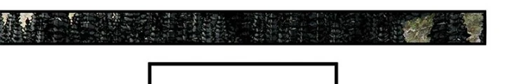 Ngụy Quân Tử Không Sợ Chết Chapter  94 - 58