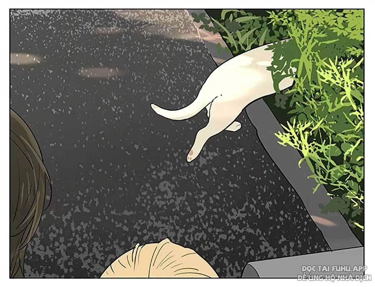 Chuyện Tình Tuổi Học Trò Chapter 188 - 11