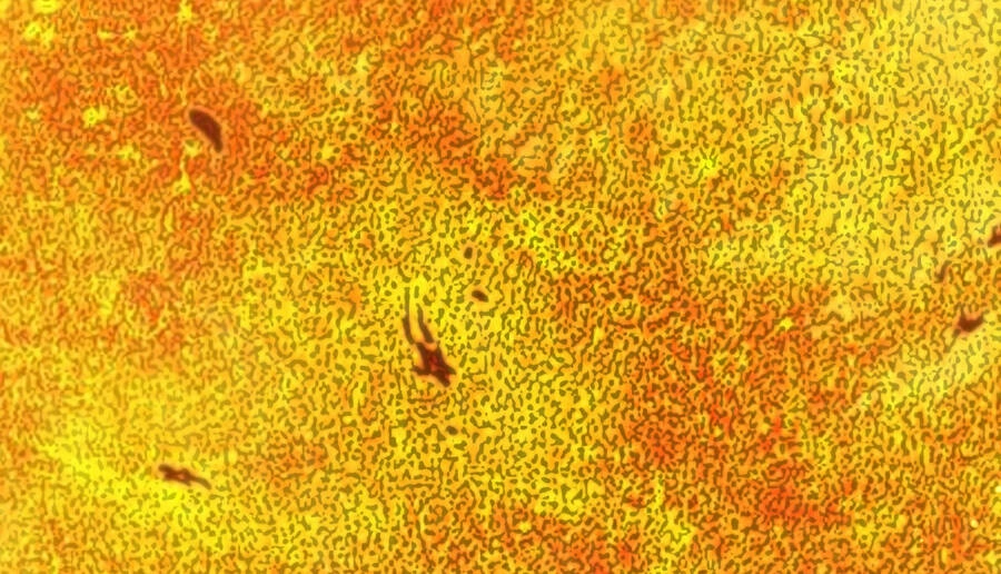 Sức Mạnh Của Ác Thần Chapter 33 - 56