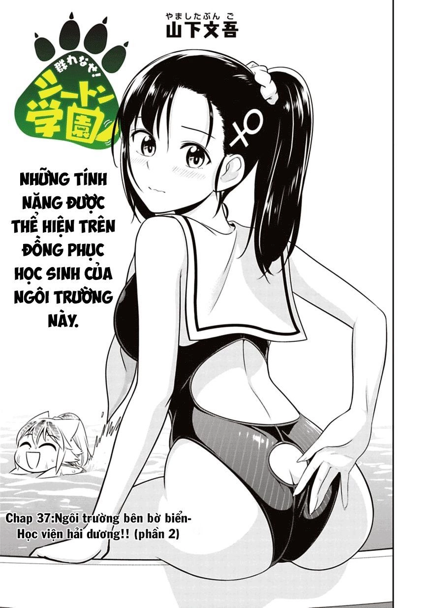 Murenase! Shiiton Gakuen Chapter 37 - 3