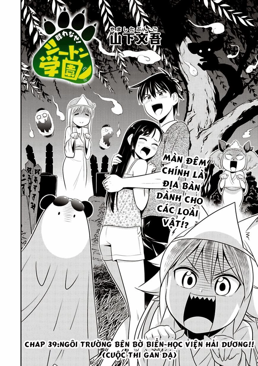 Murenase! Shiiton Gakuen Chapter 39 - 4