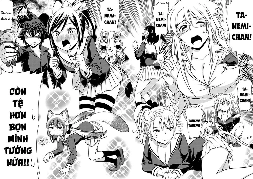 Murenase! Shiiton Gakuen Chapter 74 - 12