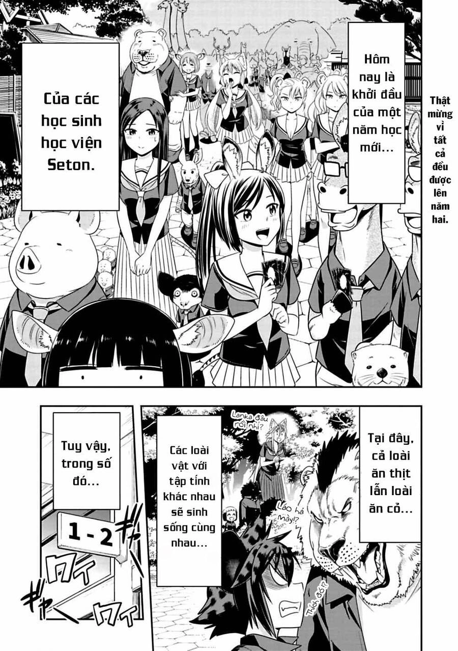Murenase! Shiiton Gakuen Chapter 78 - 3