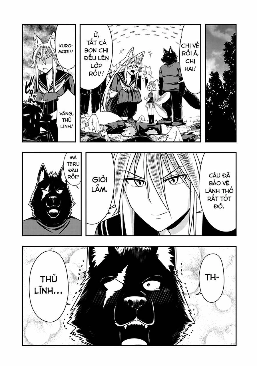 Murenase! Shiiton Gakuen Chapter 84 - 11